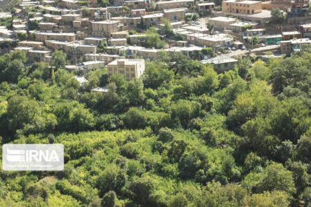 سطح زیر کشت باغات شهرستان کهک قم یک‌هزار و ۵۰۰ هکتار است
