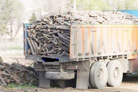 توقیف ۲۵ تن چوب قاچاق در جاده قدیم قم- تهران